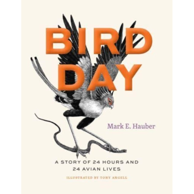 Bird Day : A Story of 24 Hours and 24 Avian Lives