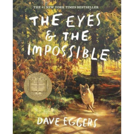 The Eyes and the Impossible