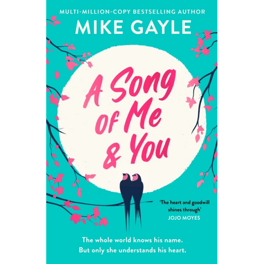 A Song of Me and You : everyone knows this rock star's name: only his first love understands his heart