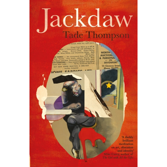 Jackdaw