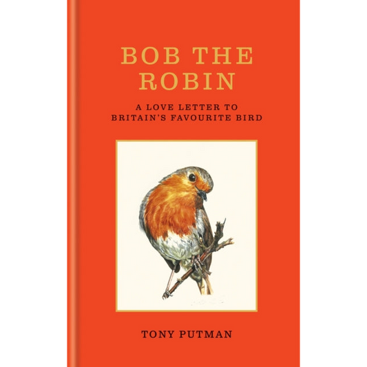 Bob the Robin : A love letter to Britain’s favourite bird