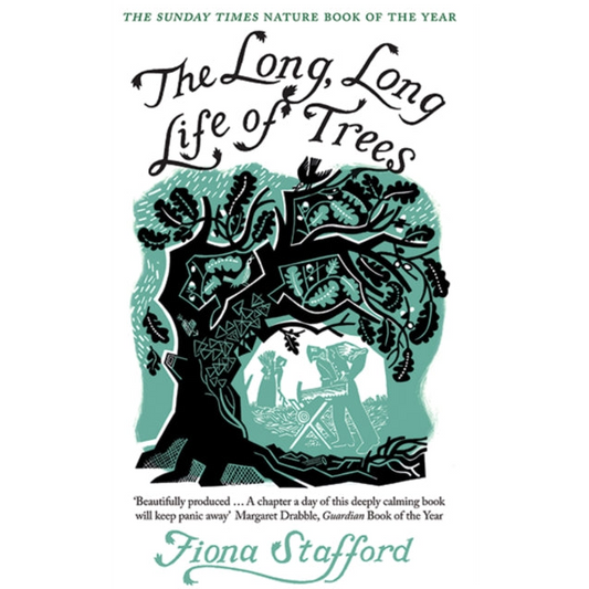 The Long, Long Life of Trees