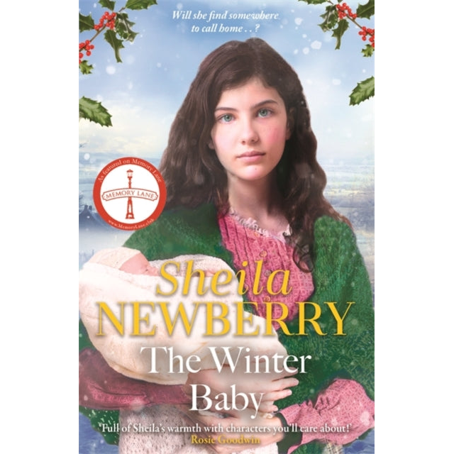 The Winter Baby : A perfect, heartwarming winter story from the Queen of Family Saga