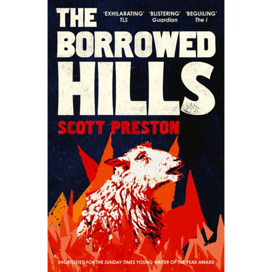 The Borrowed Hills : 'A sucker-punch of a novel' Guardian
